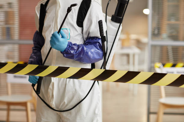 Professional Sewage Cleanup technician working in Amityville, NY